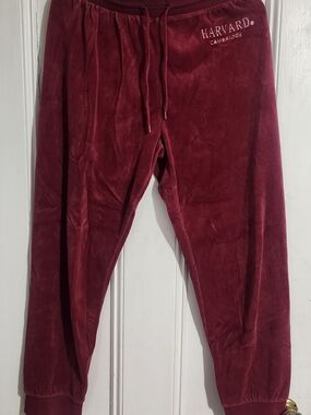 Vintage HARVARD Cambridge Maroon Velour Jogger Pants M/L